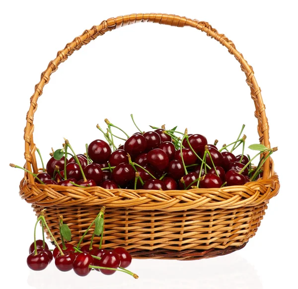 Sweet cherries isolated — Stock Photo, Image