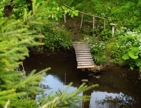 Small wooden bridge and river — Stock Photo, Image