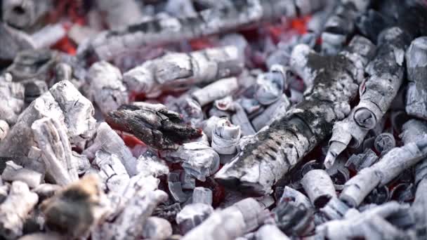Gloeiende houtskool in barbecue grill — Stockvideo