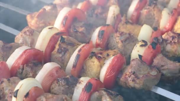 Barbecue with delicious grilled meat — Stock Video