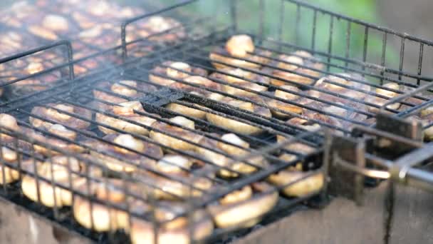 Paddestoelen op barbecue grill — Stockvideo