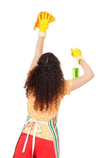 Hausfrau mit Putzspray — Stockfoto