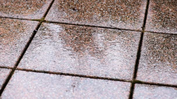 Chuva caindo sobre azulejos — Vídeo de Stock