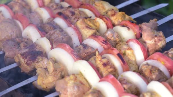 Barbecue with delicious grilled meat — Stock Video