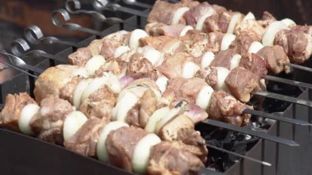 Grill z pysznym grillowanym mięsem — Wideo stockowe