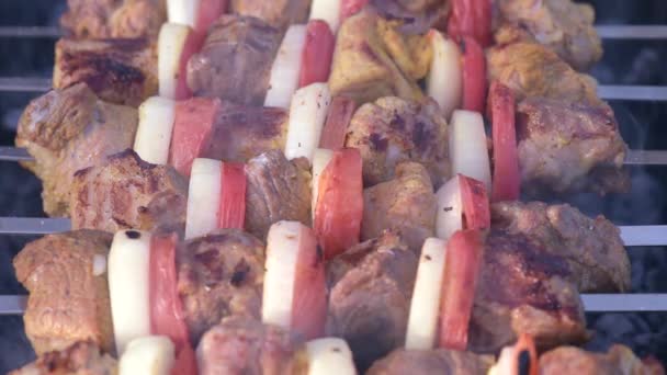 Barbecue with delicious grilled meat — Stock Video