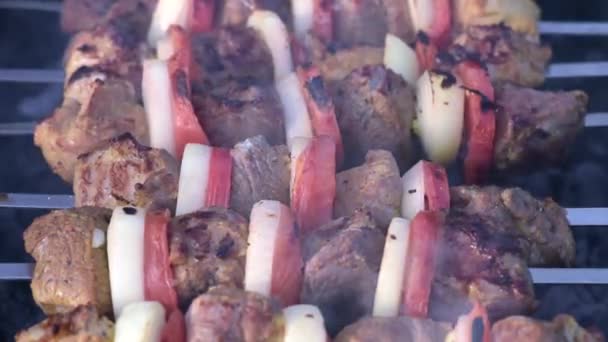 Barbecue met heerlijk gegrild vlees — Stockvideo