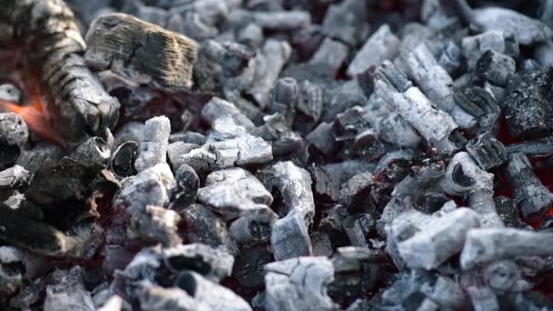 Brillante carbón en parrilla barbacoa — Vídeo de stock