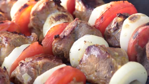 Barbecue with delicious grilled meat — Stock Video