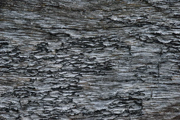 Textura de madeira para fundo — Fotografia de Stock