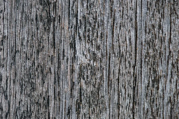 Textura de madeira para fundo — Fotografia de Stock