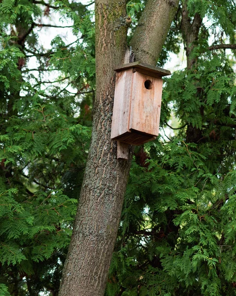 Vogelhaus auf Baum — Stockfoto