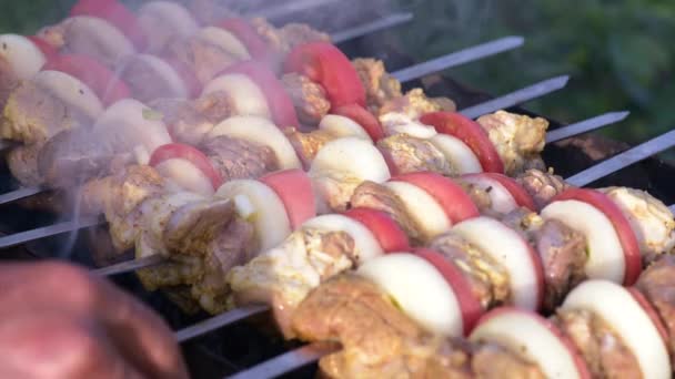 Barbecue avec délicieuse viande grillée — Video