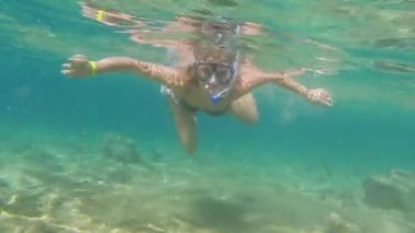 kızıl denizde balık