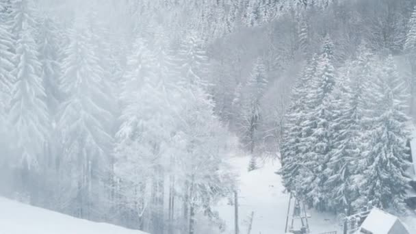 Comprensorio sciistico nella giornata invernale — Video Stock