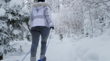 Kış ormanında kızaklı ve köpekli bir kadın.
