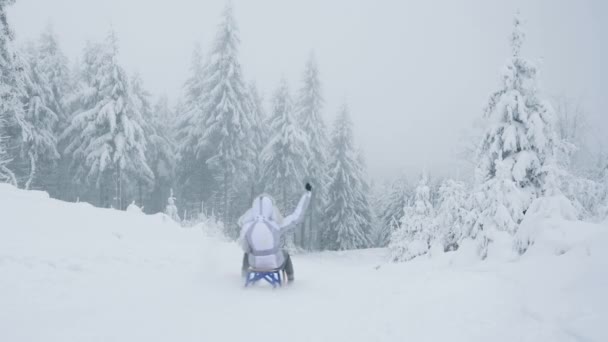 Woman go sledding in winter forest — Wideo stockowe