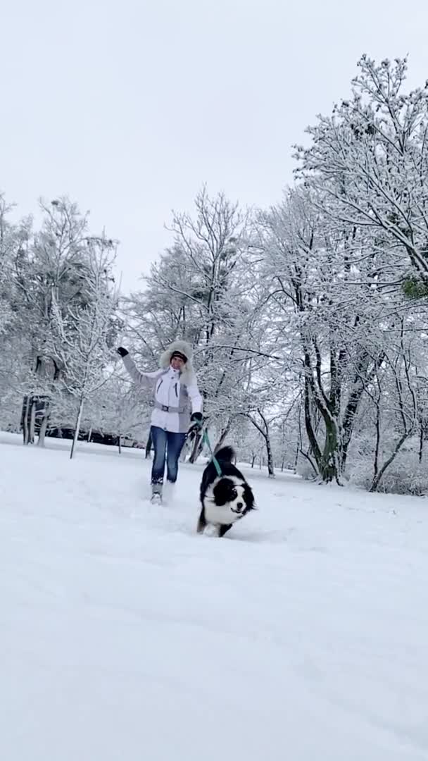 Kar üzerinde dikey video köpeği — Stok video