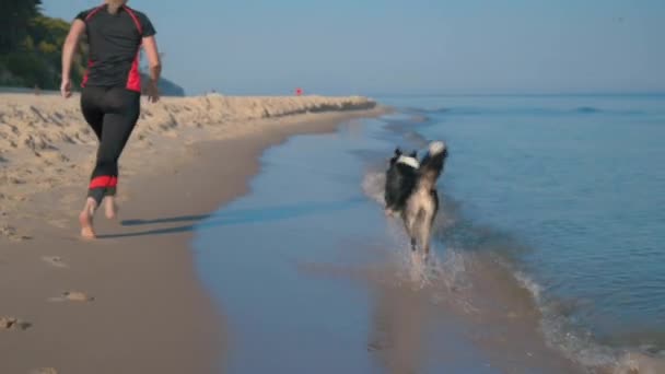 Mujer con perro en la playa — Vídeos de Stock