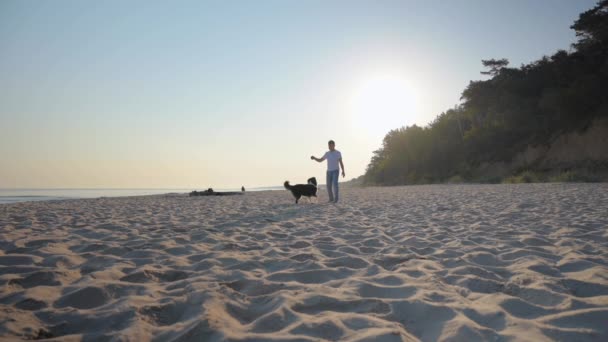 Hombre con perro en la playa — Vídeo de stock