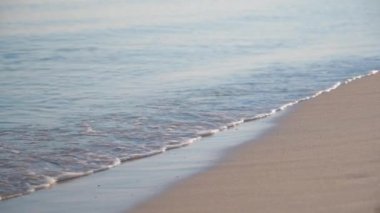 Kadın ayakları spor ayakkabı giyer.