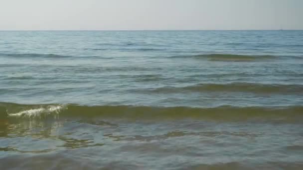 Fale na piaszczystej plaży — Wideo stockowe