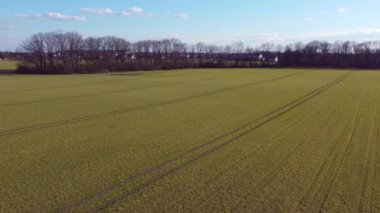 İHA 'nın bahar atışında buğday tarlası