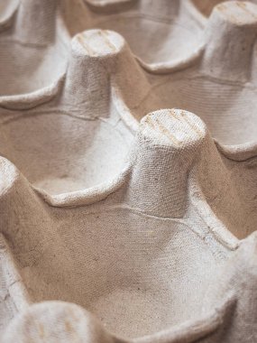 Karton yumurta kutusu.