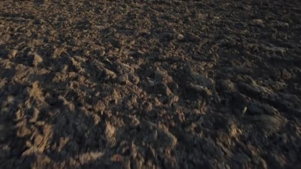 Szántott mező drónnal lőve — Stock videók