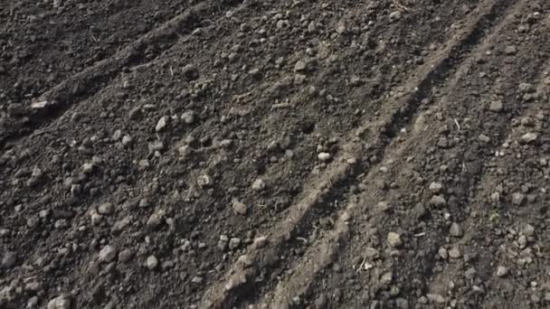 Lapangan dibajak ditembak oleh drone — Stok Video