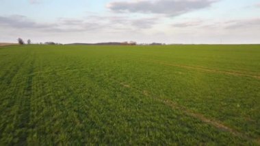 İlkbahar alanının İHA görüntüleri