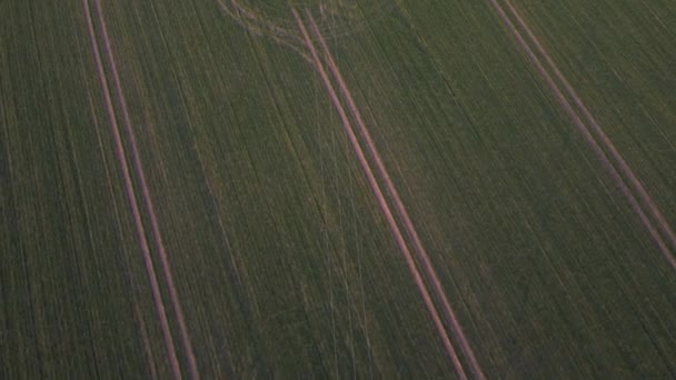 Images de drones du champ de printemps — Video