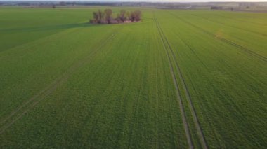 İlkbahar alanının İHA görüntüleri