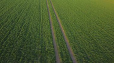 İlkbahar alanının İHA görüntüleri