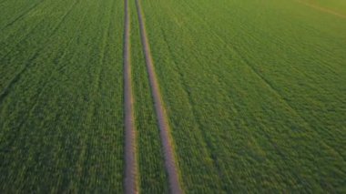 İlkbahar alanının İHA görüntüleri