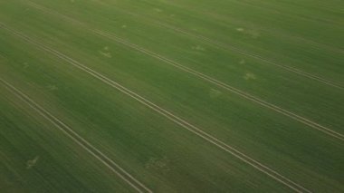 İlkbahar alanının İHA görüntüleri