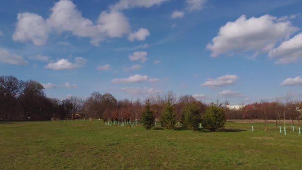 Воздушный беспилотный вид на весенний парк — стоковое видео