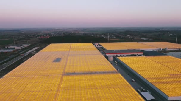 Strzał drona w dużych szklarniach — Wideo stockowe