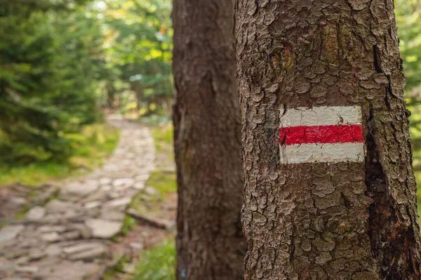 Señal de dirección del sendero —  Fotos de Stock