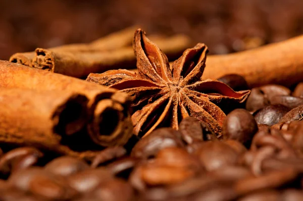 Coffee beans — Stock Photo, Image