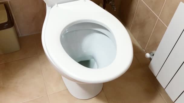 Туалет миска — стоковое видео