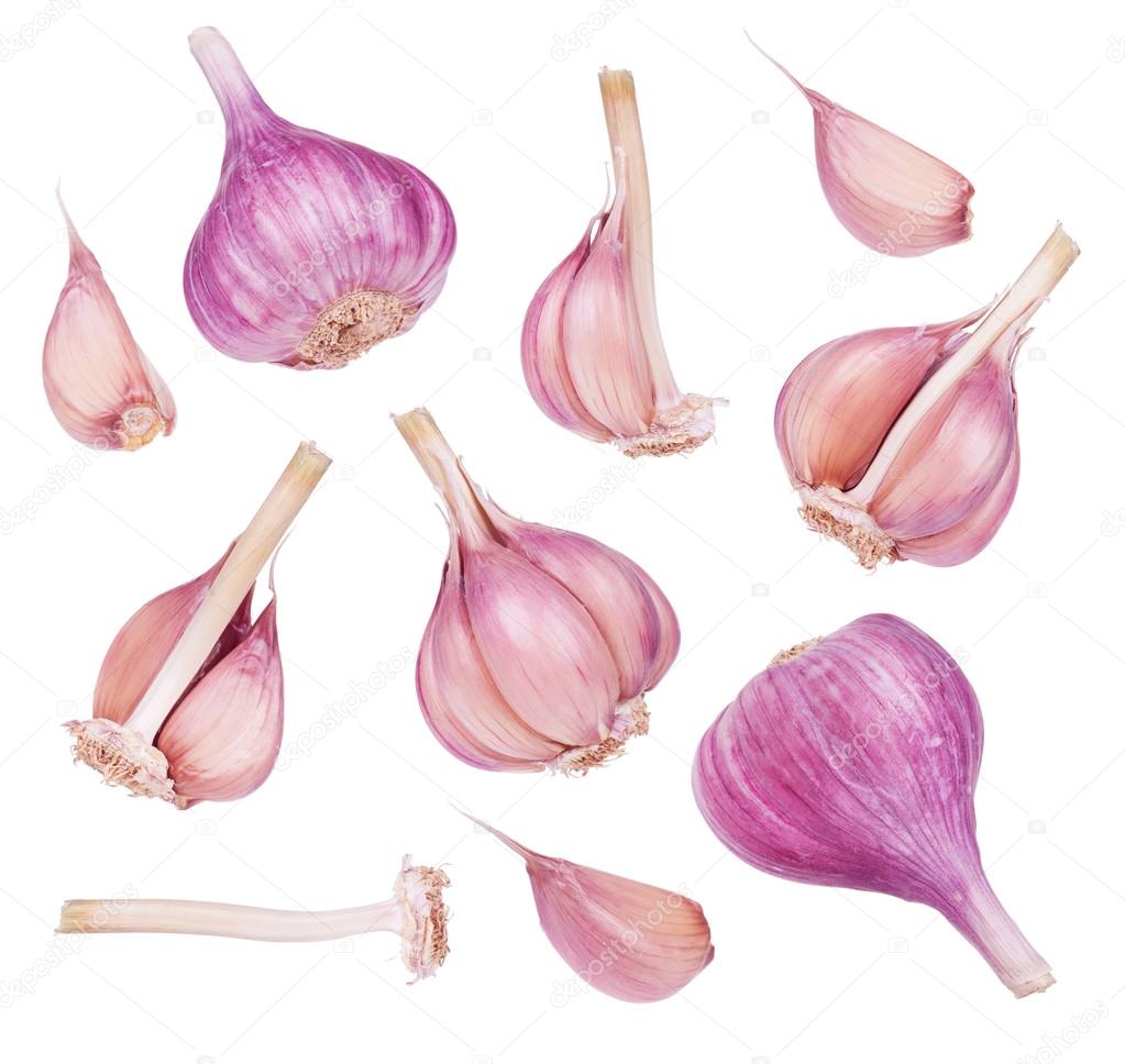 Fresh garlic