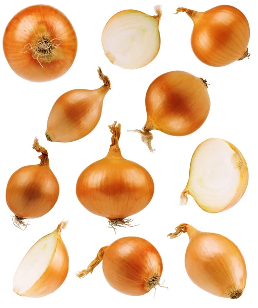 Set onions — Stock Photo, Image