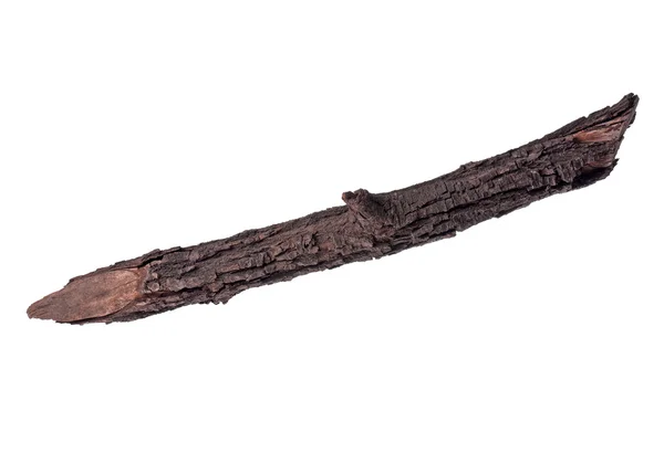 Single dry tree branch — Stock Photo, Image