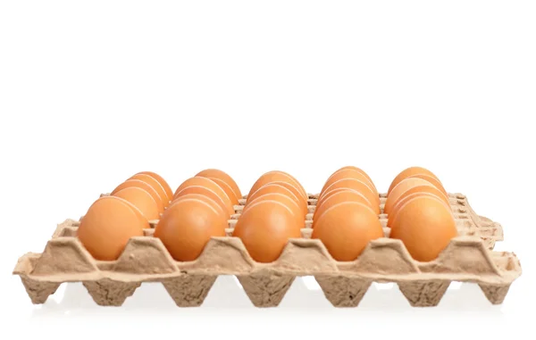 Papírové vajíčko box s hnědá vejce — Stock fotografie