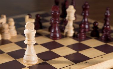 Satranç tahtası ve satranç tahtaları.