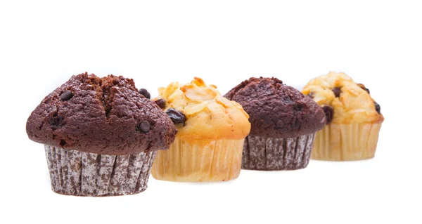 Chutné muffin dort — Stock fotografie