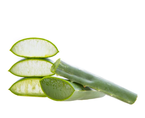 Vera aloe — Stok Foto