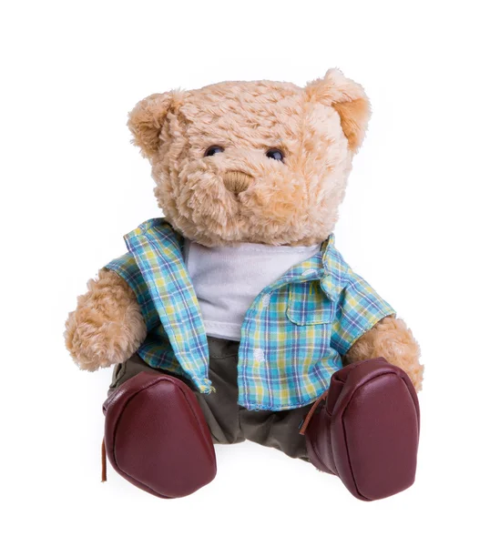 Teddybjörnar — Stockfoto