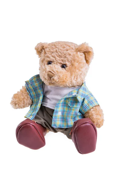 Teddy bears — Stock Photo, Image